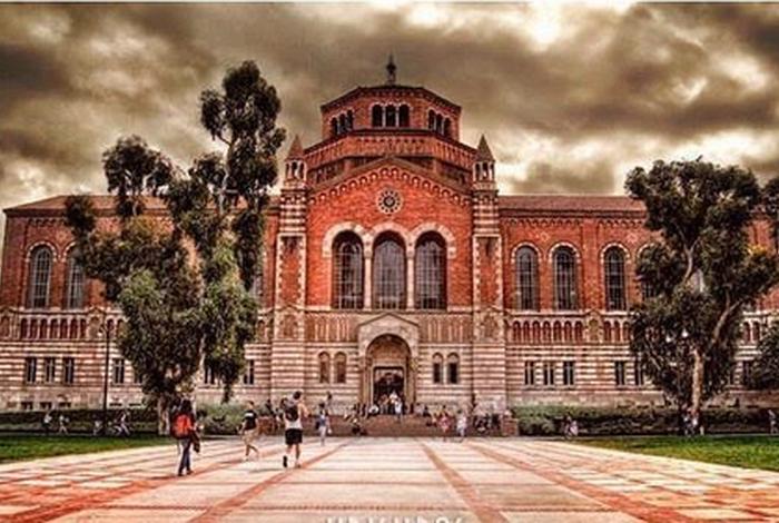 哈佛大学教育的本质，哈佛大学本科教育由( )等几个板块组成