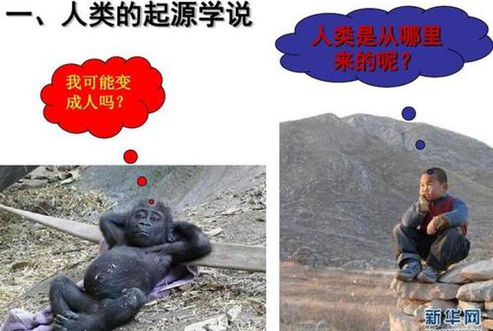 请问人类是怎么来的、人类是怎样来的呢