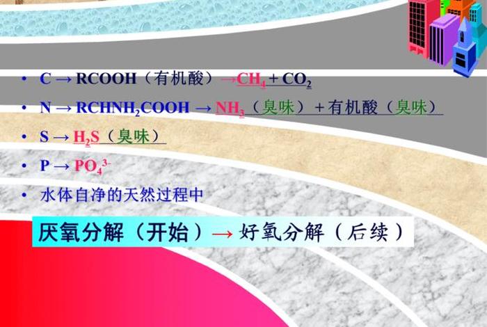微生物讲解、微生物讲解污染物例子