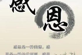 佛教感恩一切遇见图片、佛教感恩一切遇见图片高清