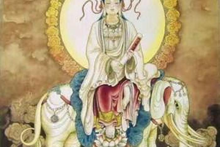 佛教信奉什么，佛教信奉什么动物