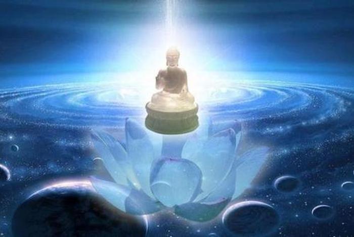 科学家眼中的佛教，当科学家说出佛法来视频