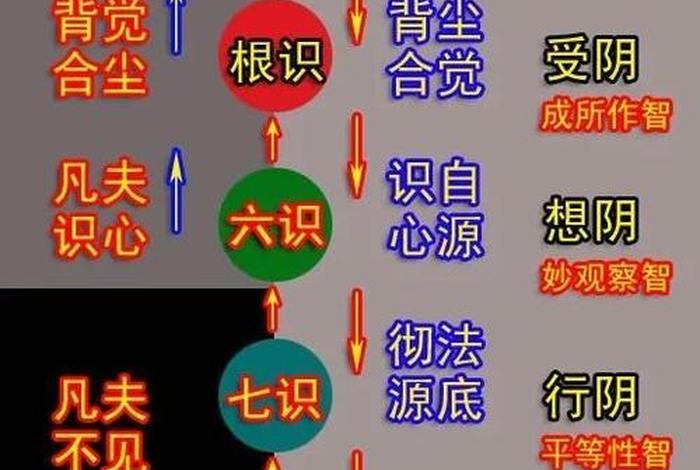 佛教十识对照表 - 佛教十识与前世