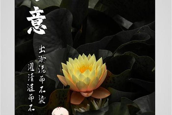 佛学图片、佛学图片禅意