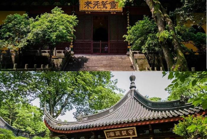 佛教灵隐寺图片大全（佛教灵隐寺图片大全集）