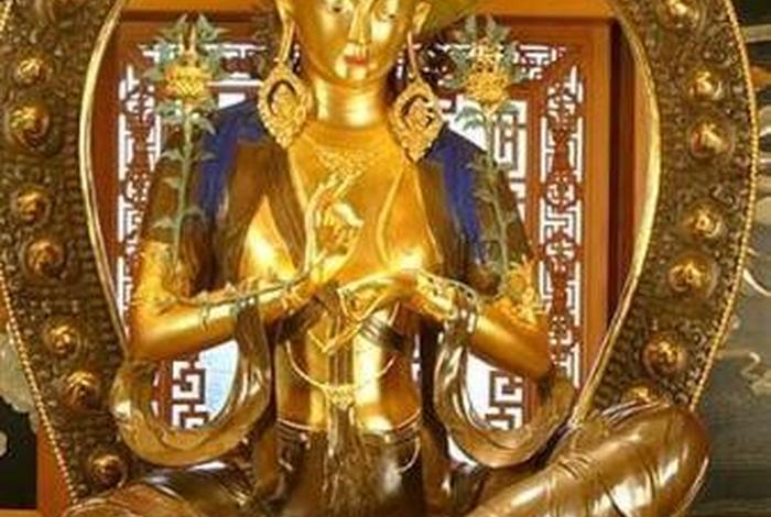 佛教修行的果位（佛教里的果位）