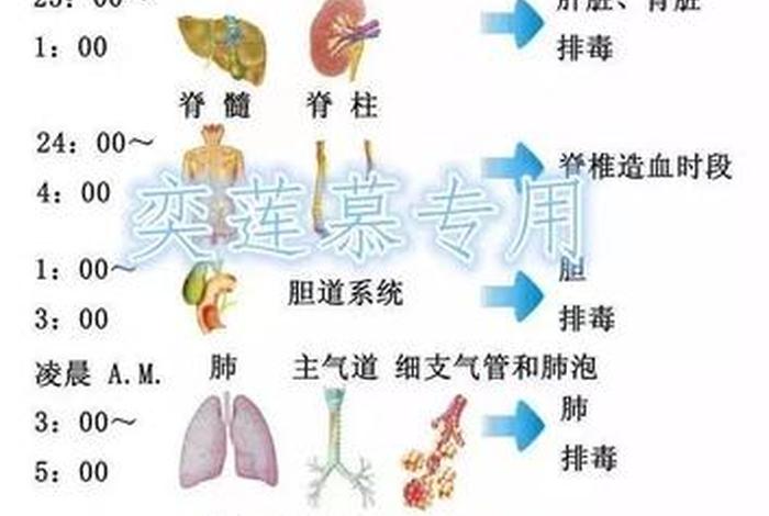 佛教最有效的睡眠方法（佛教徒睡眠时间）