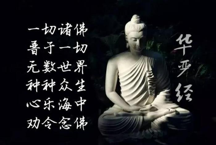 佛教才是真理 - 佛法是真正的真理,也是真正的教育