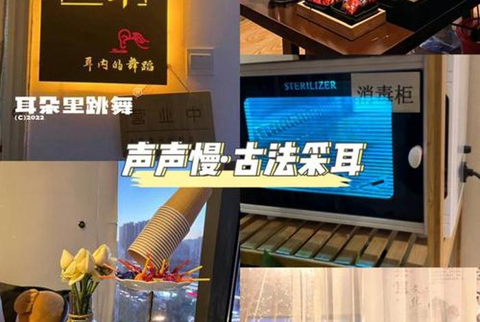 采耳的有关知识；采耳的有关知识点总结