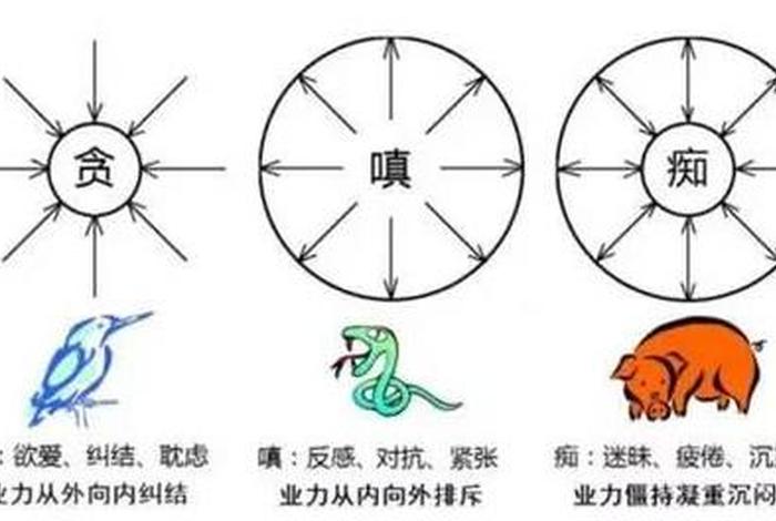 佛教三毒包括什么 - 佛教中的三毒指的是什么
