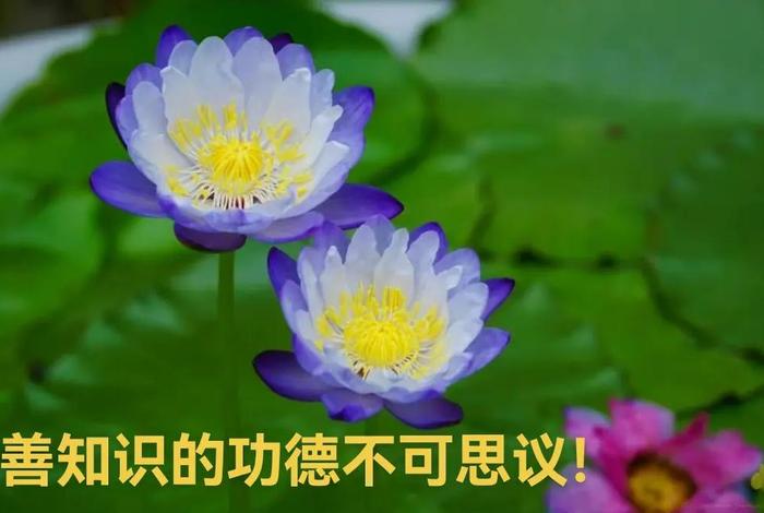 为什么说善知识难遇；何谓善知识