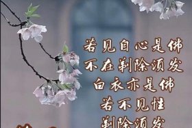 佛法是宇宙人生的真理（佛法是宇宙最高智慧）