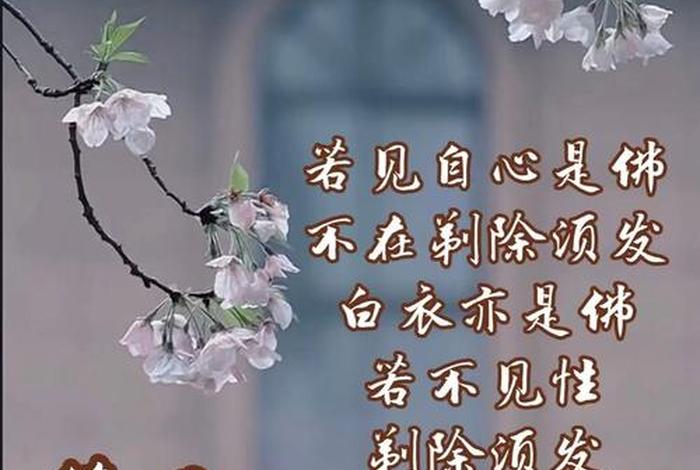 佛法是宇宙人生的真理（佛法是宇宙最高智慧）