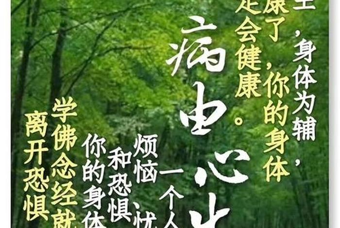 佛法清净心；佛家讲清净心
