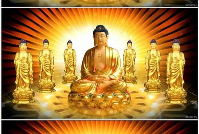 如来入门基础知识视频 - 如来讲法视频