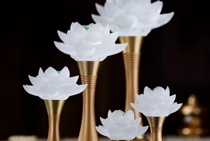 佛教圣物为什么是莲花而不是荷花 - 佛教圣物为什么是莲花而不是荷花呢