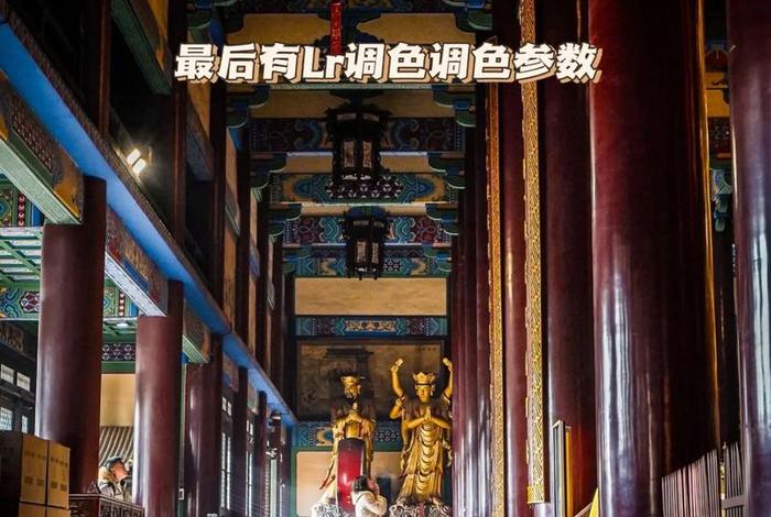 佛教殿堂纪录片；佛教殿堂纪录片有哪些