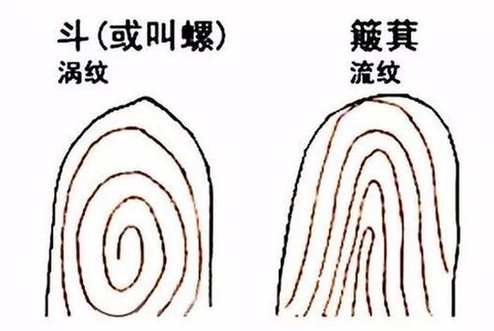 佛教簸箕百科知识大全（佛教用的锣）