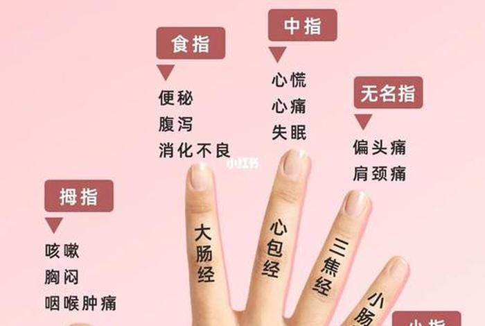 五根五力什么意思，五根五力图解