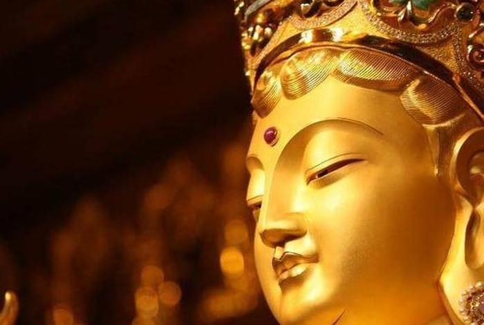 新佛法什么意思、百度新佛曰