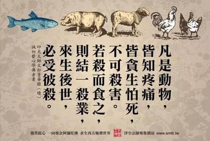 佛经中的我取是什么意思 取我是垢,不取我是净