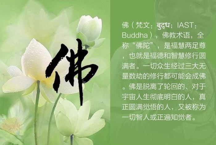 喜欢佛教音乐怎么回事 - 喜欢佛教的人性格
