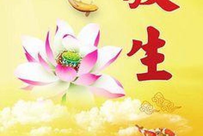 什么是佛教善解、佛教善是什么意思