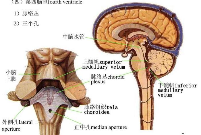中国佛教脉络丛书、中国佛教脉络丛书有哪些