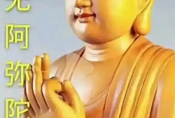 佛教 度；佛教 度人
