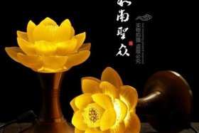 佛教圣物莲花 - 佛教莲花典故