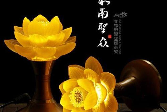 佛教圣物莲花 - 佛教莲花典故