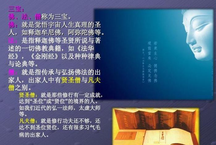 佛教入门-历史与教义（佛教历史讲座）
