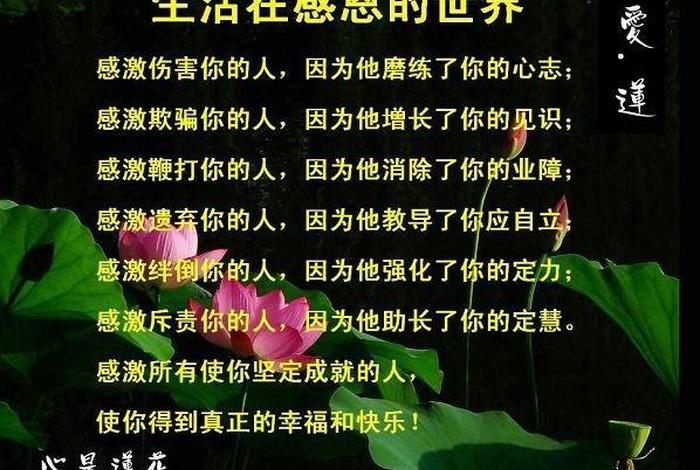 感恩善知识的诗佛教诗句（感恩善知识的诗佛教诗句大全）