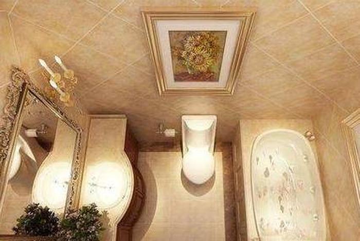 在卫生间能看佛教知识吗视频，看风水卫生间可以放花吗