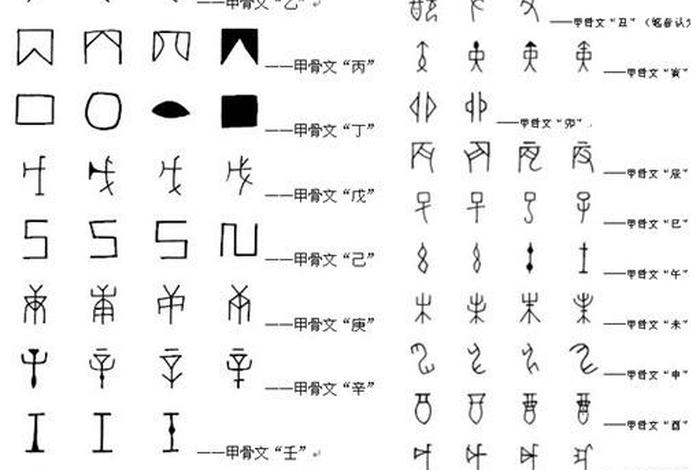 你所知道的甲骨文知识，甲骨文的示例
