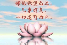 佛教怎么解释烦恼（佛教所说的烦恼是什么）
