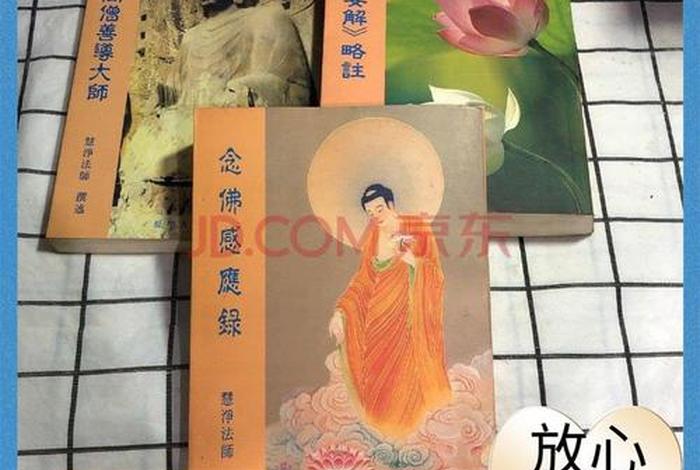 依止善导大师称念阿弥陀佛、善导大师阿弥陀经注解