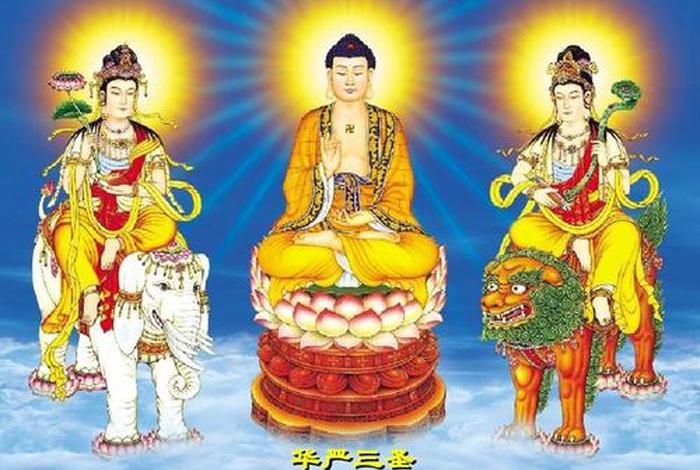 三大佛教圣地分别是什么（佛教三大佛）