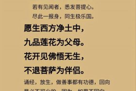 佛教所有的回向偈、佛教所有回向文