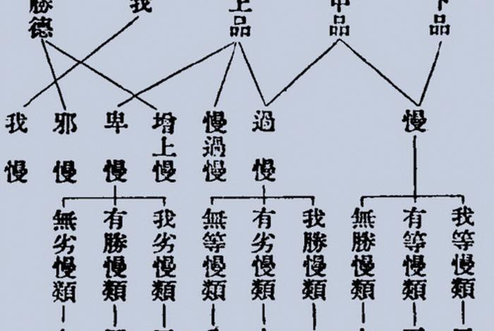 佛教唯识论共有几识，唯识论是佛说的吗