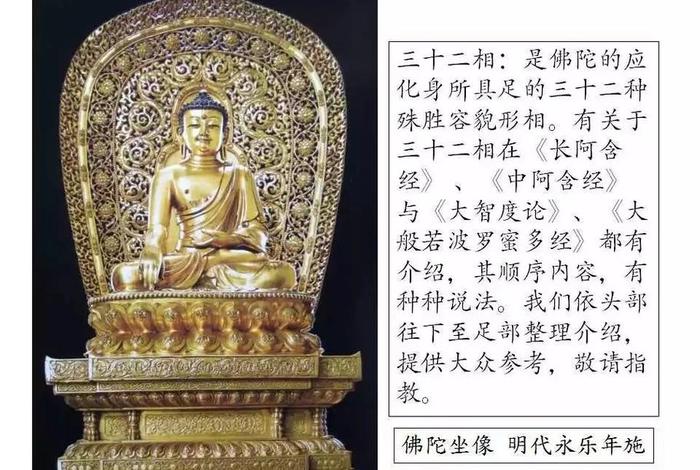 佛教中的相指什么（佛教什么是相）