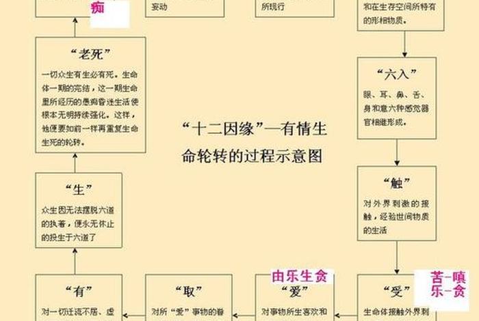 佛说十二因缘的目的 - 佛法中十二因缘的由来