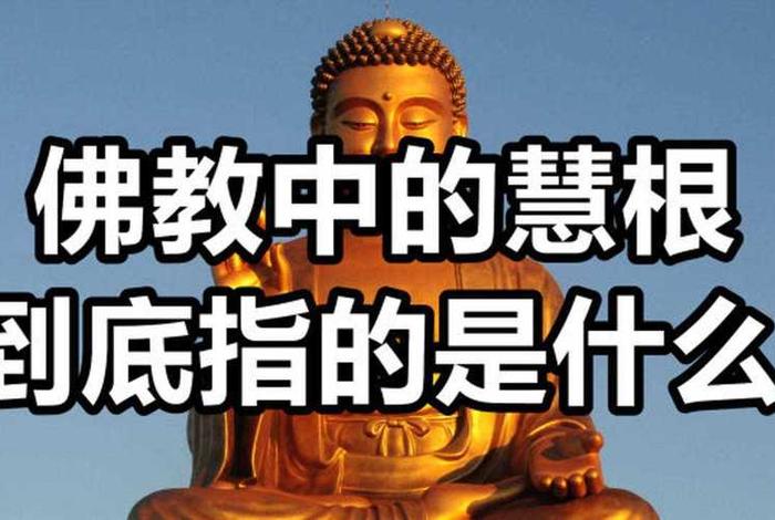 佛教中的非法非非法是什么意思 非法佛教组织