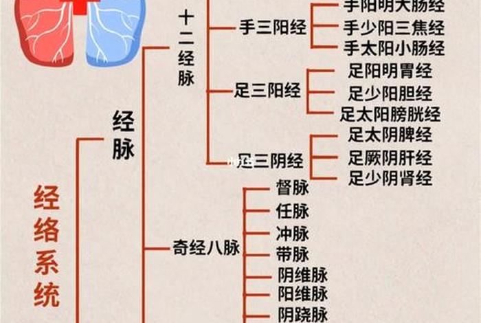 简述佛教思想对中医学的形成产生哪些影响？（佛教对中医学产生了哪些影响）