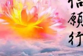 善根和善业的区别，善根与佛缘是什么意思