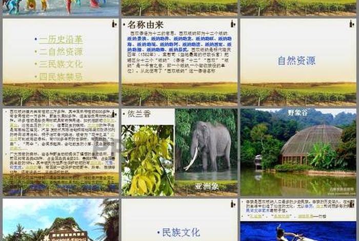 西双版纳傣族文化讲解；西双版纳傣族风情