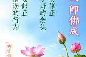 佛教生活的基本知识问答是什么（佛教生活感悟经典句子）