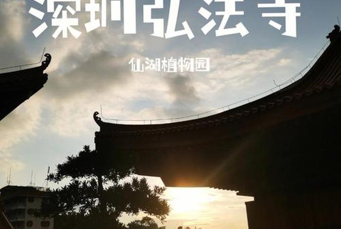 佛教知识小程序推荐大全图片，专业的佛教知识网站