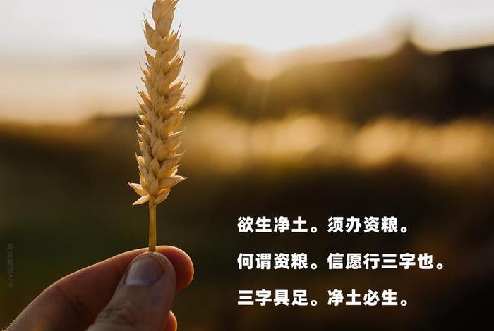 佛教的信愿行；佛教的信愿行指的是什么