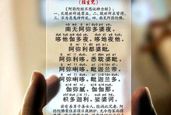 佛教怎么看待猫咪往生；猫咪往生咒回向
